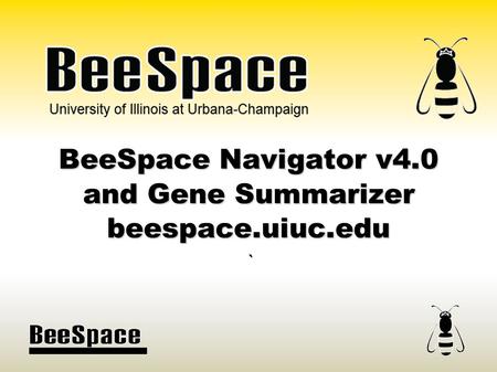 University of Illinois at Urbana-Champaign BeeSpace Navigator v4.0 and Gene Summarizer beespace.uiuc.edu `