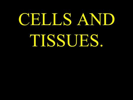 CELLS AND TISSUES.. Tissue: A Definition A group of connected, interdependent cells that cooperate to perform a (common) specific function.