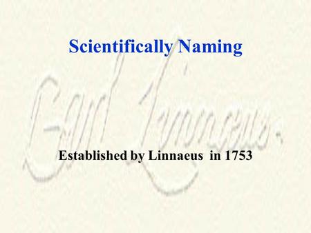 Scientifically Naming Established by Linnaeus in 1753.