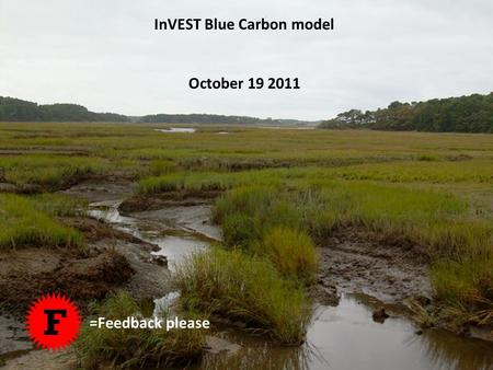 InVEST Blue Carbon model October 19 2011 F =Feedback please.