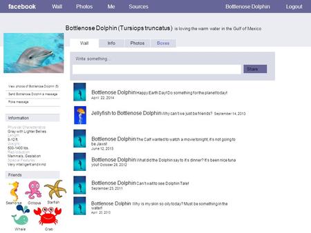 Facebook Bottlenose Dolphin (Tursiops truncatus) is loving the warm water in the Gulf of Mexico WallPhotosMeSourcesBottlenose DolphinLogout View photos.
