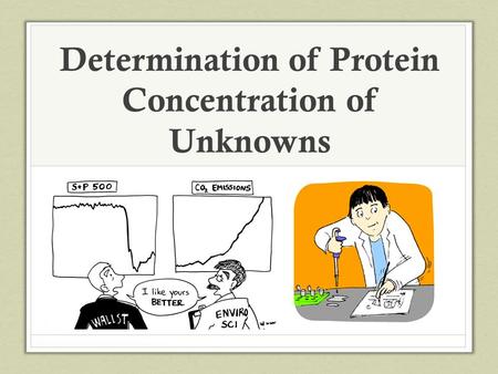 Determination of Protein Concentration of Unknowns.