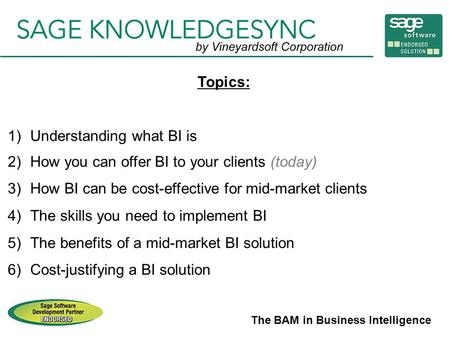 The BAM in Business Intelligence Topics: 1)Understanding what BI is 2)How you can offer BI to your clients (today) 3)How BI can be cost-effective for mid-market.