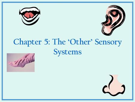 Chapter 5: The ‘Other’ Sensory Systems. Audition: Hearing 1. What is the stimulus in the auditory system? 2. Important characteristics of the auditory.