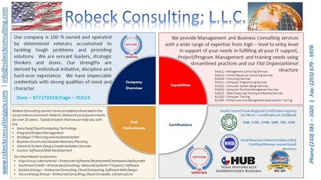 Robeck Consulting owners have consulted and worked in the Corporate environment, Federal, State and Local governments for over 25 years. Typical projects.