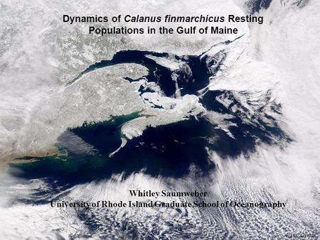 NASA SeaWiFS Dynamics of Calanus finmarchicus Resting Populations in the Gulf of Maine Whitley Saumweber University of Rhode Island Graduate School of.