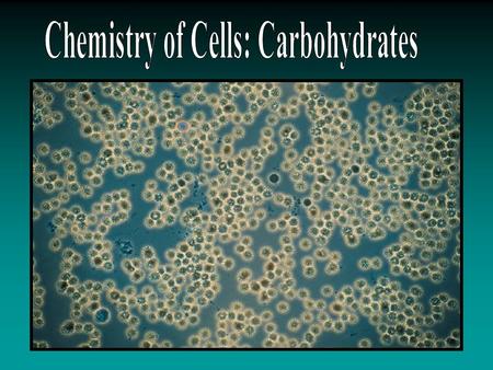 Carbon Compounds The structure of a biomolecule will help determine its properties and functions Organic compounds contain carbon atoms that are covalently.