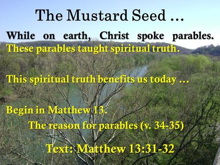 The Mustard Seed … While on earth, Christ spoke parables. These parables taught spiritual truth. This spiritual truth benefits us today … Begin in Matthew.