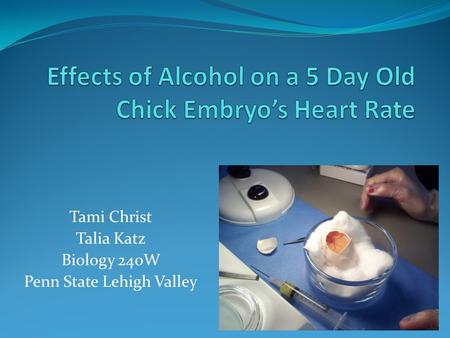 Tami Christ Talia Katz Biology 240W Penn State Lehigh Valley.