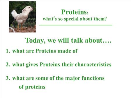 Proteins : what’s so special about them? Today, we will talk about…. 1.what are Proteins made of 2. what gives Proteins their characteristics 3.what are.