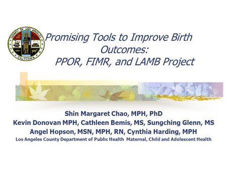 Promising Tools to Improve Birth Outcomes: PPOR, FIMR, and LAMB Project Shin Margaret Chao, MPH, PhD Kevin Donovan MPH, Cathleen Bemis, MS, Sungching.