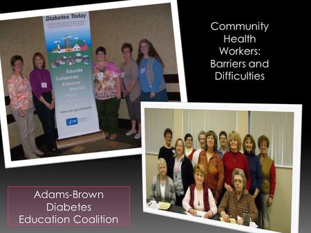 Adams-Brown Diabetes Education Coalition Community Health Workers: Barriers and Difficulties.