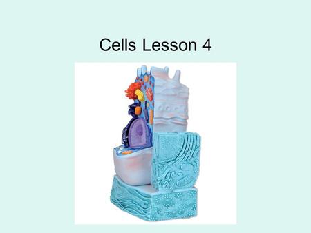 Cells Lesson 4. How can we prove that cells exist if we can’t see them? In your table groups you have got 2 minutes to discuss your ideas and then we.