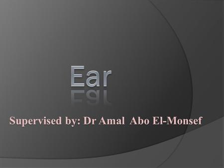 Objectives:  By the end of this lecture the student will be able to: 1. List the function of the ear 2. Recognize & describe the different parts of the.