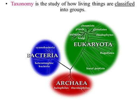 Section 17.1 Summary – pages