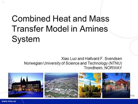 1 Combined Heat and Mass Transfer Model in Amines System Xiao Luo and Hallvard F. Svendsen Norwegian University of Science and Technology (NTNU) Trondheim,