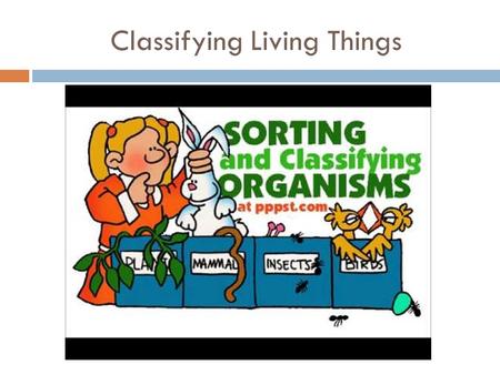 Classifying Living Things