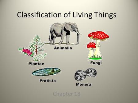 Classification of Living Things Chapter 18. Why Classify Classification is used to name organisms and group them in a logical manner – Biologists have.