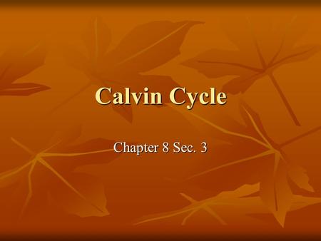 Calvin Cycle Chapter 8 Sec. 3. Photosynthesis Capturing energy from light and storing it within organic compounds Capturing energy from light and storing.