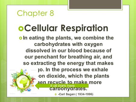 Chapter 8  Cellular Respiration  In eating the plants, we combine the carbohydrates with oxygen dissolved in our blood because of our penchant for breathing.