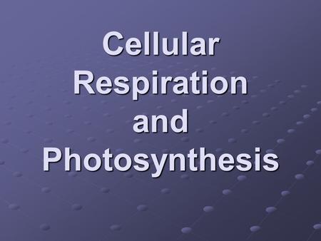 Cellular Respiration and Photosynthesis. ATP Adenosine Triphosphate Main energy source for animal cells Energy is stored in the bonds between phosphate.