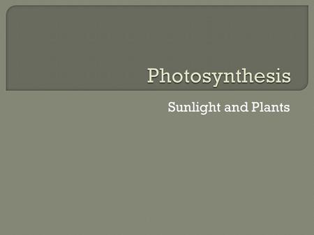 Sunlight and Plants.  Plants use sunlight in combination with H2O and C02 and turn it into a source of food  Within this cell organelle is the chlorophyll.