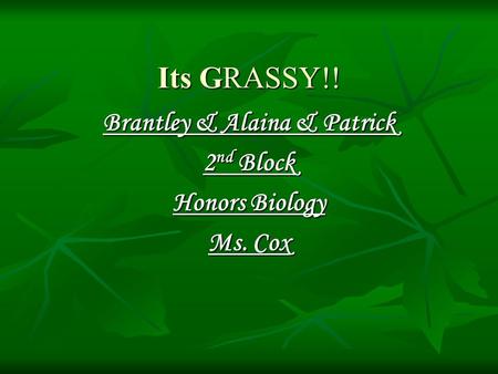 Its GRASSY!! Brantley & Alaina & Patrick 2 nd Block Honors Biology Ms. Cox.