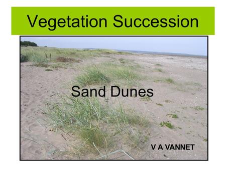 Vegetation Succession Sand Dunes V A VANNET. Plant Succession Evolution of plant communities From pioneer species to climax vegetation Related to change.