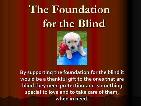 The Foundation for the Blind By supporting the foundation for the blind it would be a thankful gift to the ones that are blind they need protection and.