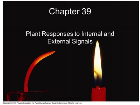 Travismulthaupt.com Chapter 39 Plant Responses to Internal and External Signals.