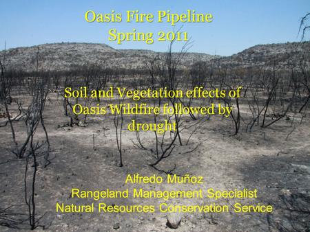 Oasis Fire Pipeline Spring 2011 Soil and Vegetation effects of Oasis Wildfire followed by drought Alfredo Muñoz Rangeland Management Specialist Natural.