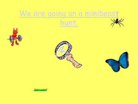 We are going on a minibeast hunt.. We’re searching for some minibeasts, There must be some, or one at least! We’ve seen their pictures in a book, Now.