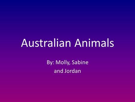 Australian Animals By: Molly, Sabine and Jordan. We are going to talk to you about some Australian animals.