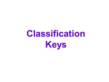 Classification Keys. Despite the fact that 99.9% of all living organisms, that ever existed, are now extinct there is still a large variety on Earth today.