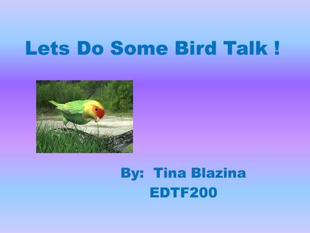 Lets Do Some Bird Talk ! By: Tina Blazina EDTF200.