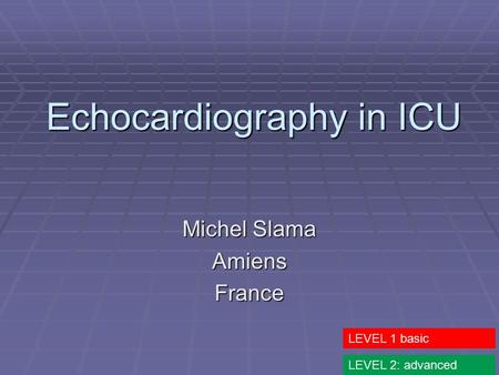 Echocardiography in ICU Michel Slama AmiensFrance LEVEL 1 basic LEVEL 2: advanced.