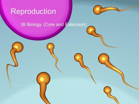 Reproduction IB Biology (Core and Extension). Copyright 2008 PresentationFx.com | Redistribution Prohibited | Image © 2008 clix/sxc.hu | This text section.