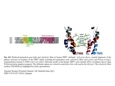 Fig. 26.1 Predicted permeation pore helix and selectivity filter of human TRPV subfamily. Left panel shows a partial alignment of the primary structure.