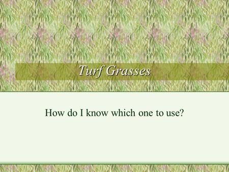 Turf Grasses How do I know which one to use?. Objectives Be able to name at least three turf grasses Describe characteristics of each Using a scenario,