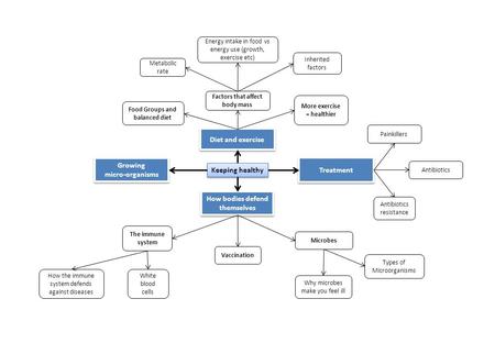 Keeping healthy Diet and exercise How bodies defend themselves Food Groups and balanced diet Factors that affect body mass Metabolic rate Energy intake.