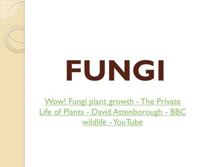 FUNGI Wow! Fungi plant growth - The Private Life of Plants - David Attenborough - BBC wildlife - YouTube.