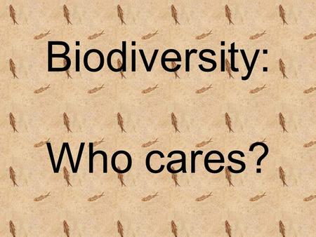 Biodiversity: Who cares?. Which do you like better? A B.