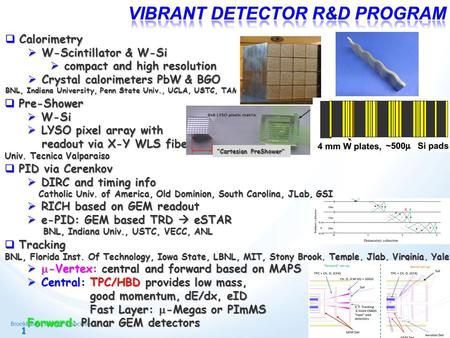 1  Calorimetry  W-Scintillator & W-Si  compact and high resolution  Crystal calorimeters PbW & BGO BNL, Indiana University, Penn State Univ., UCLA,