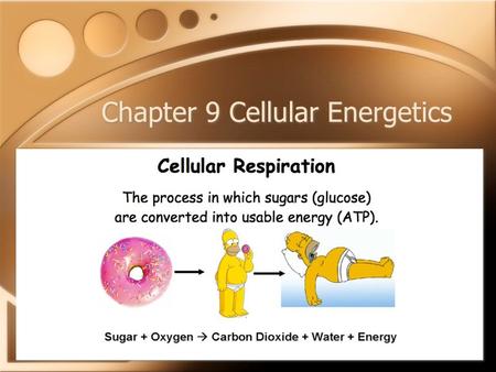 Chapter 9 Cellular Energetics. Energy Production This chapter deals with the catabolic pathways that break down organic molecules for the production.