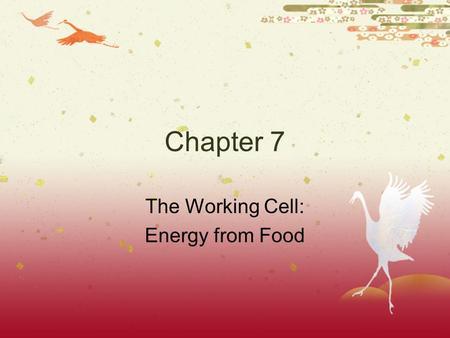 The Working Cell: Energy from Food