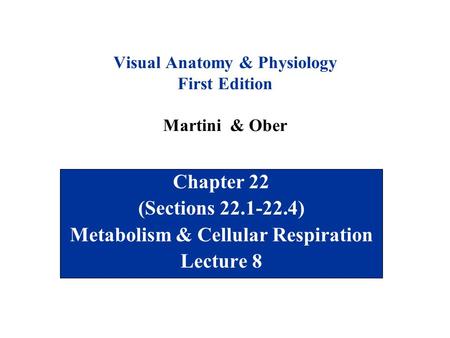 Visual Anatomy & Physiology First Edition Martini & Ober