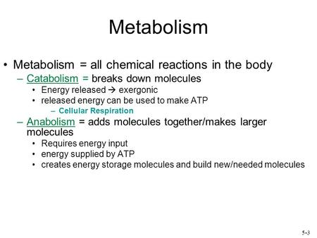 Metabolism Metabolism = all chemical reactions in the body –Catabolism = breaks down molecules Energy released  exergonic released energy can be used.