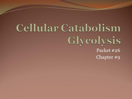 Packet #26 Chapter #9. Introduction Glycolysis is a stage common to all organisms. The chain of reactions, that make up glycolysis, convert each molecule.