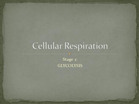 Stage 1: GLYCOLYSIS. Glycolysis = “sugar splitting” 1o reactions that occur in the cytosol Each step is catalyzed by a specific enzyme OVERALL: Glucose.