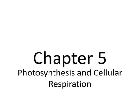 Photosynthesis and Cellular Respiration